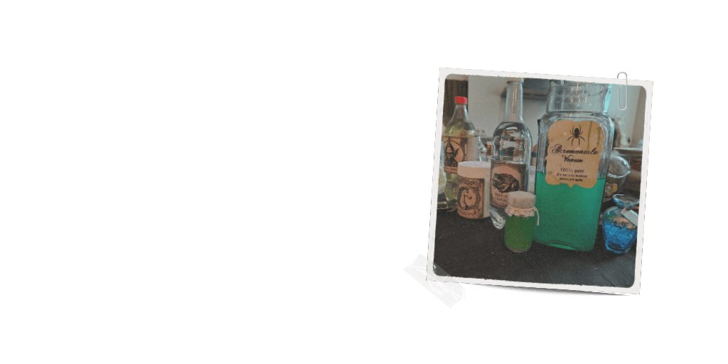 Collage de 1 photos, des éléments de décors lors d'un Anniversaire école des sorciers